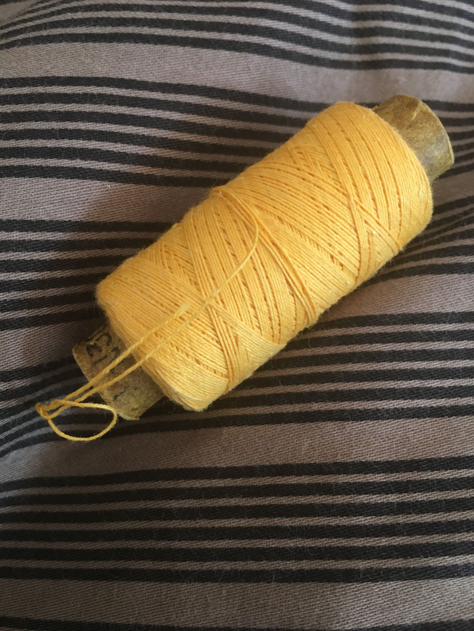 Apple iPhone 6s Plus sample photo. Twine, thread, tailor photography