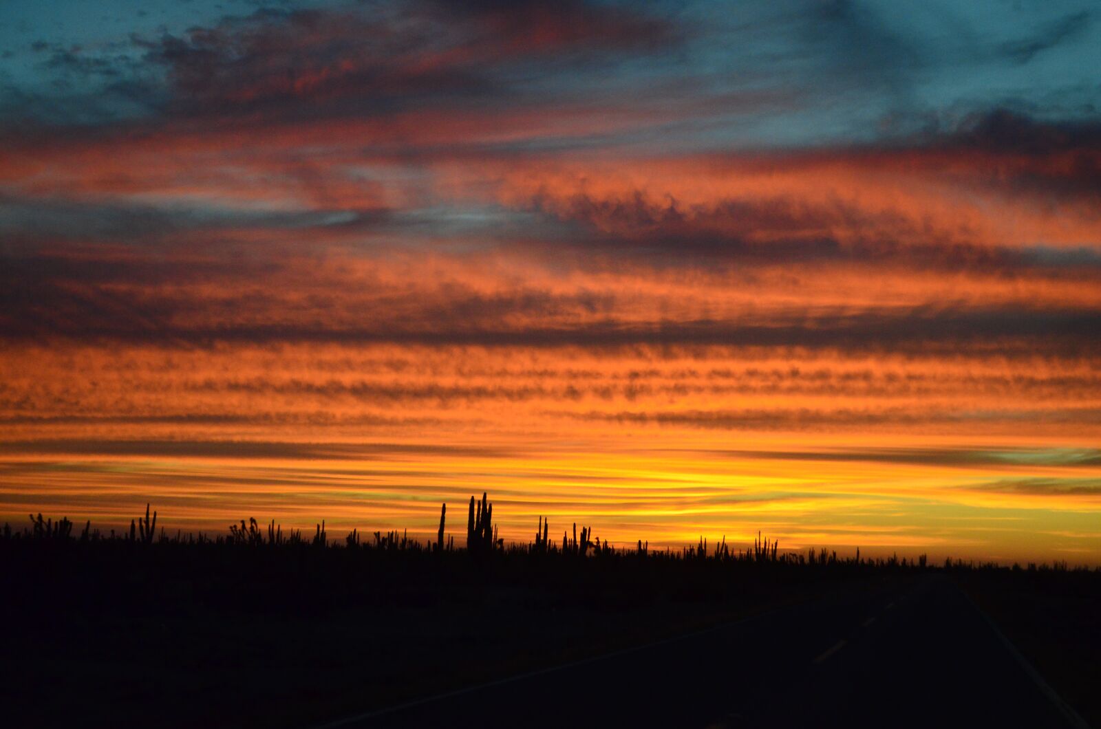 Nikon D5100 sample photo. Sunset, desert, orange photography