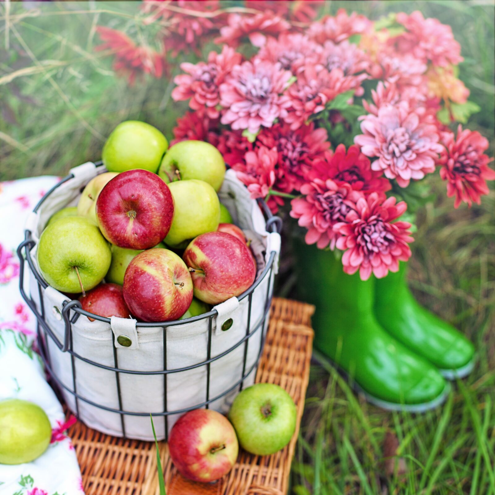 Canon EF 50mm F1.4 USM sample photo. Apples, fruits, picnic photography