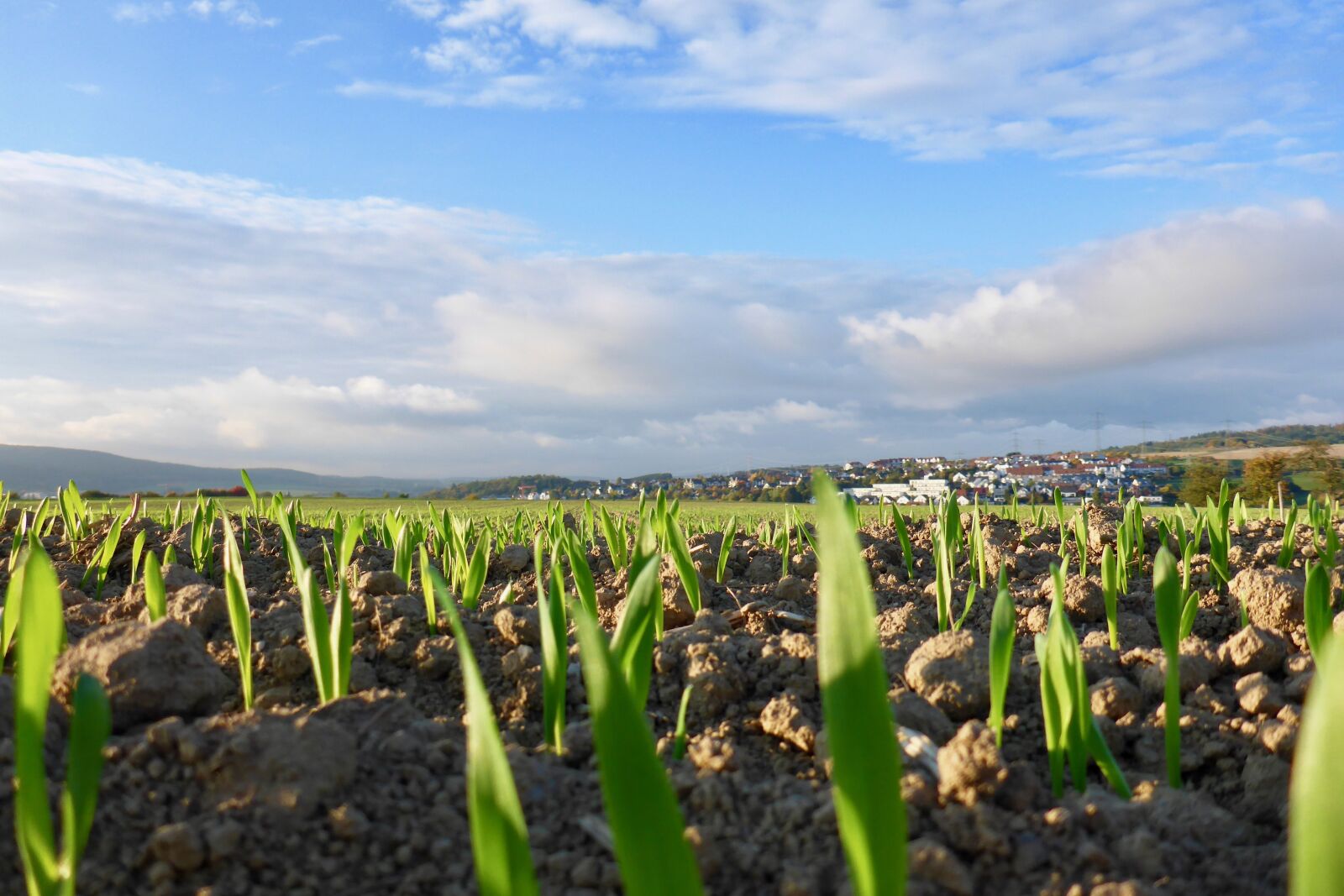 Panasonic Lumix DMC-TS5 (Lumix DMC-FT5) sample photo. Field, arable, agriculture photography