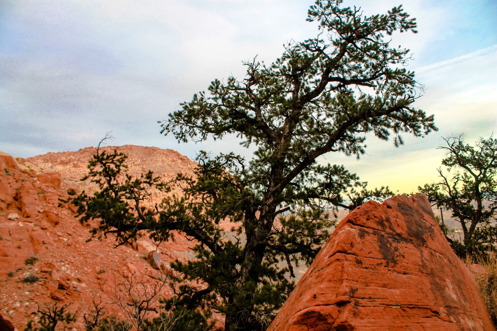 Canon EOS 1100D (EOS Rebel T3 / EOS Kiss X50) sample photo. Utah, red rocks, red photography