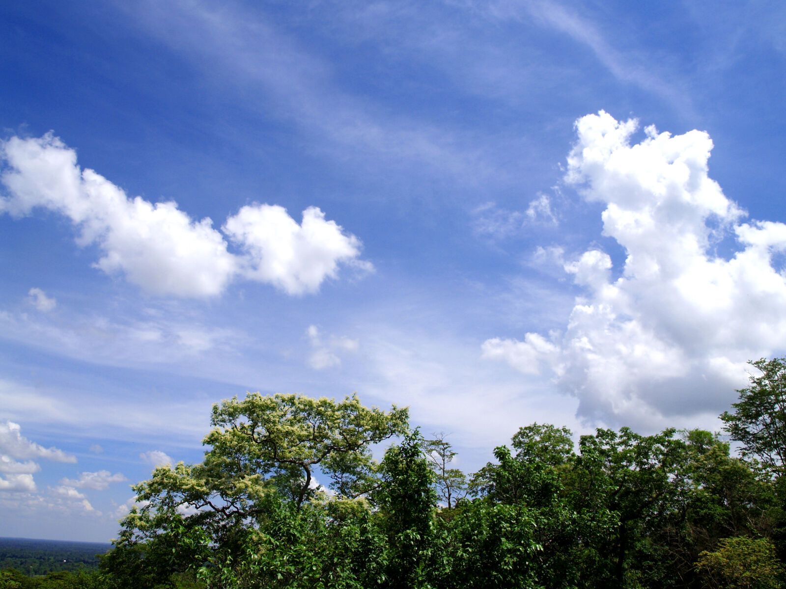 Olympus E-300 (EVOLT E-300) sample photo. Bright, clouds, daylight, environment photography