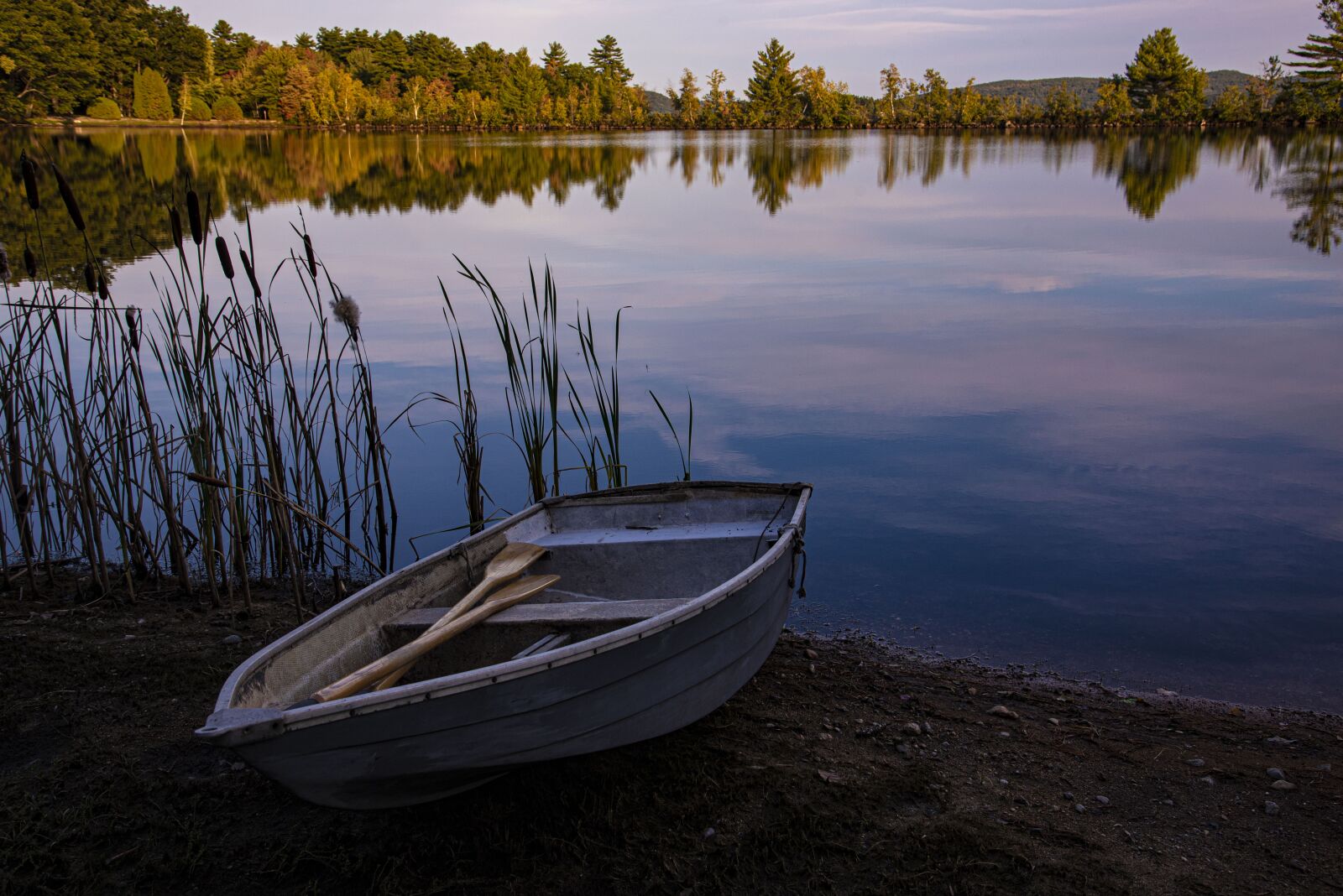 Nikon D750 sample photo. Boat, dawn, lake photography