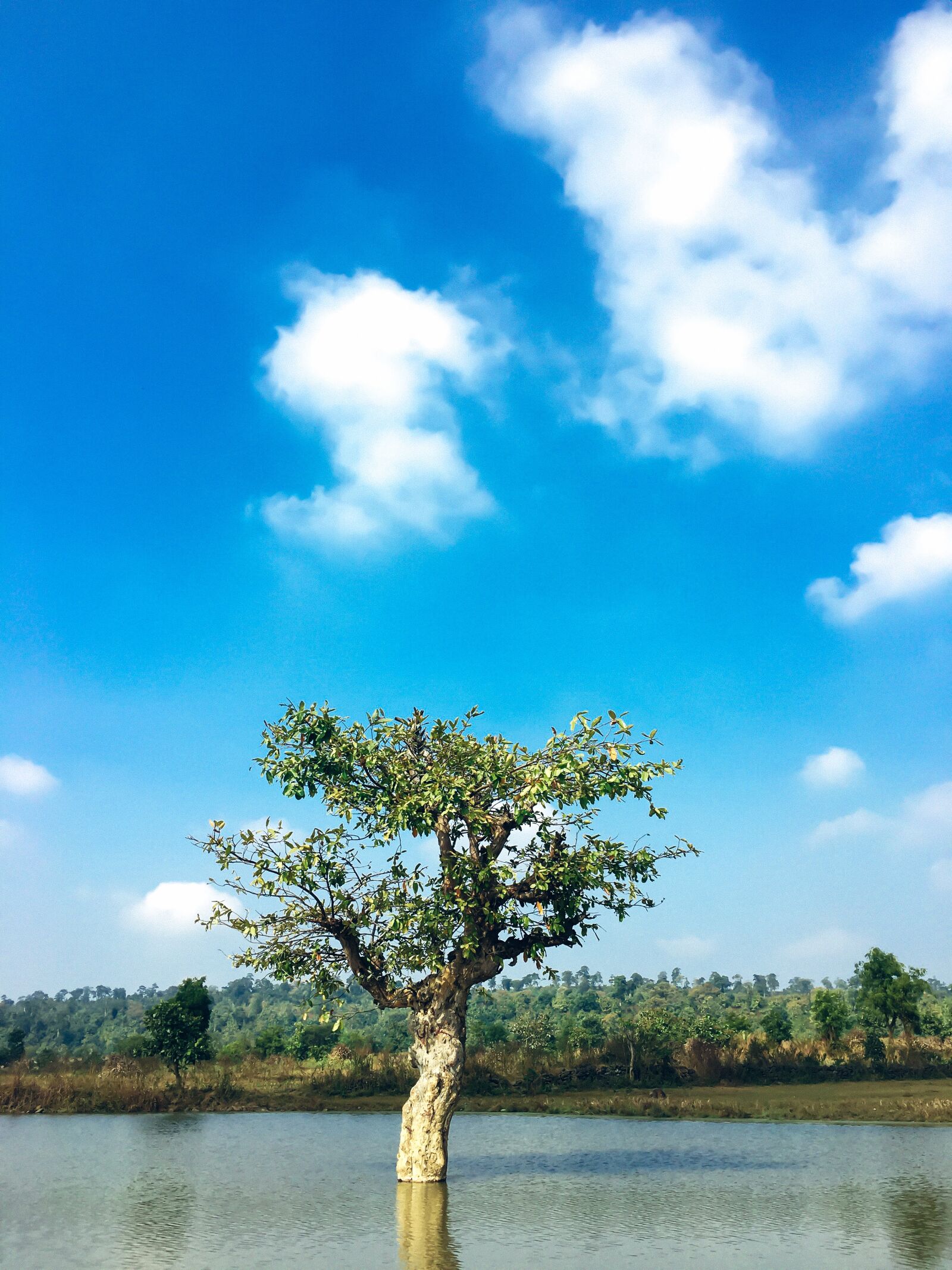 Apple iPhone 6s sample photo. Naturephotography, nature, photography photography