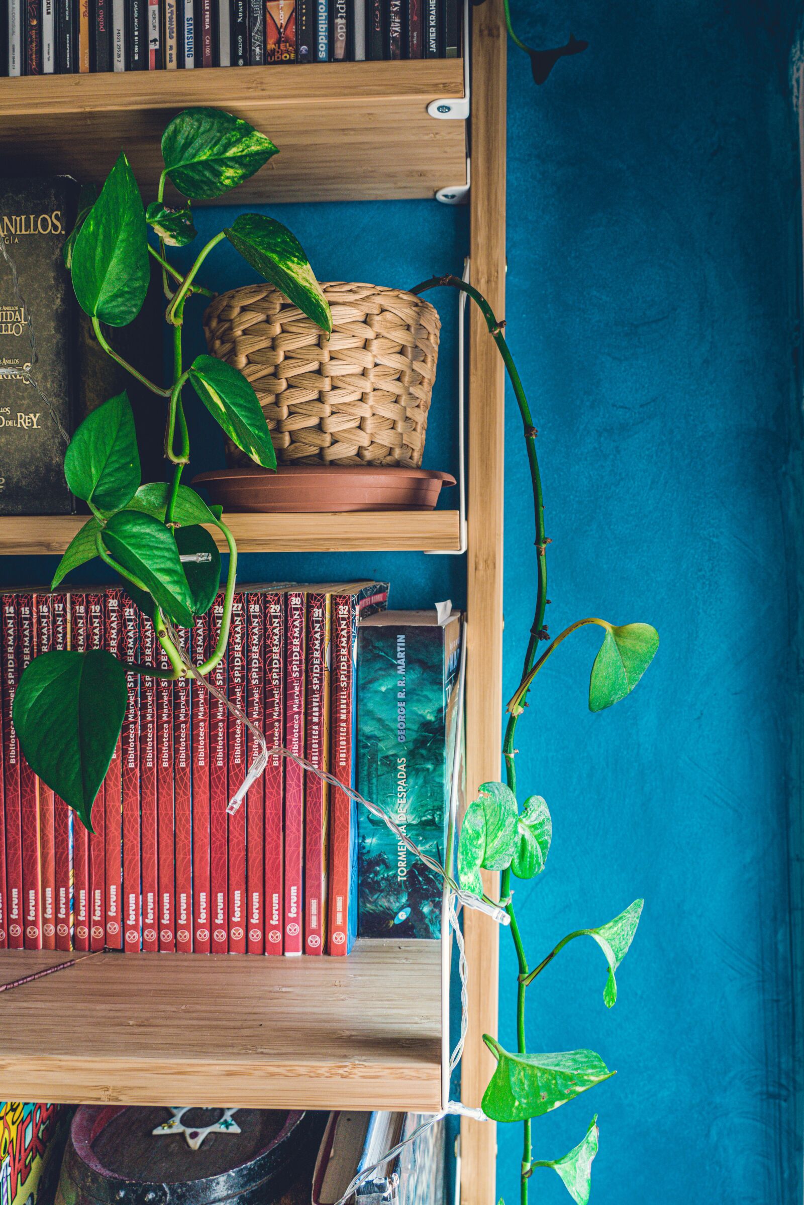 Sony a7R II + Sony FE 24-105mm F4 G OSS sample photo. House, plant, library photography