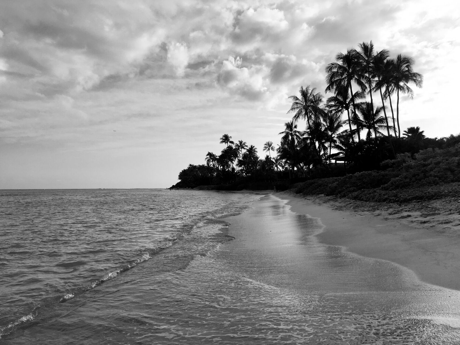 Apple iPhone 6s sample photo. Beach, palm trees, hawaii photography