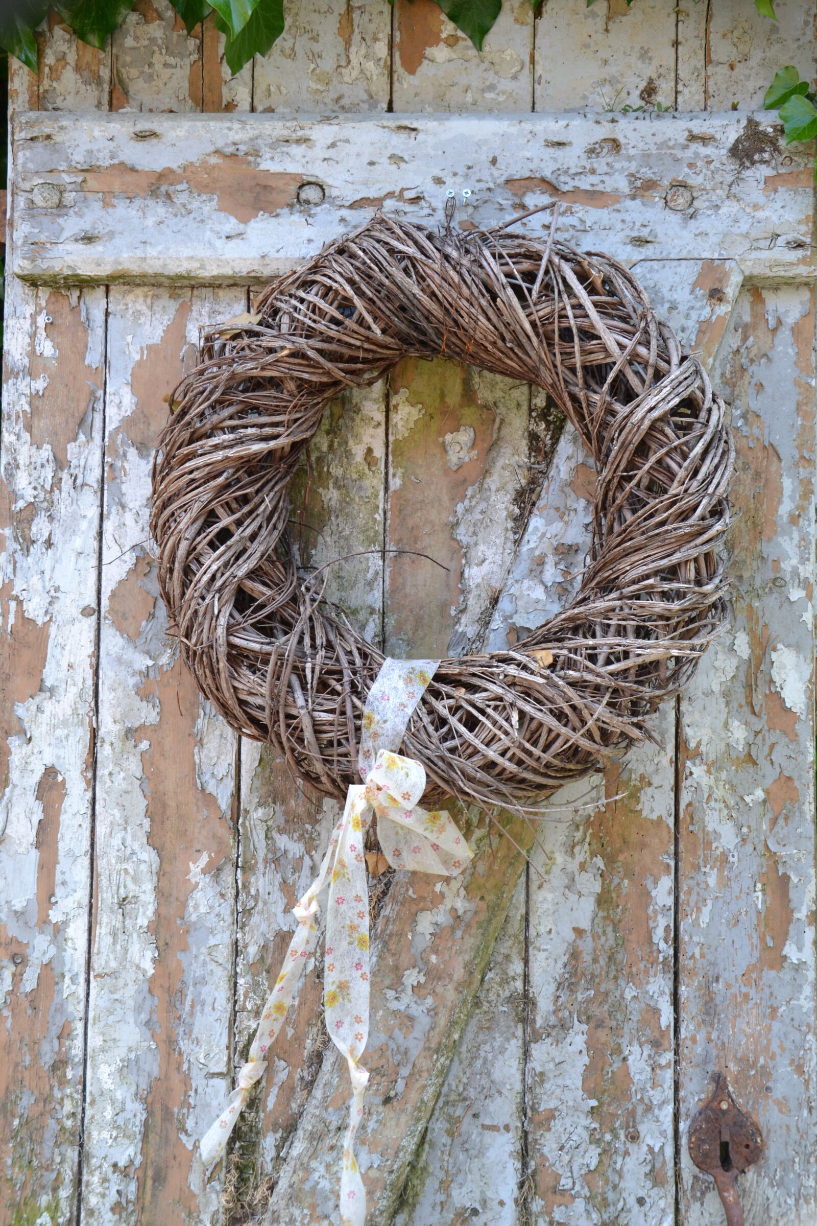 Nikon D3100 sample photo. Nature, wood, decoration photography