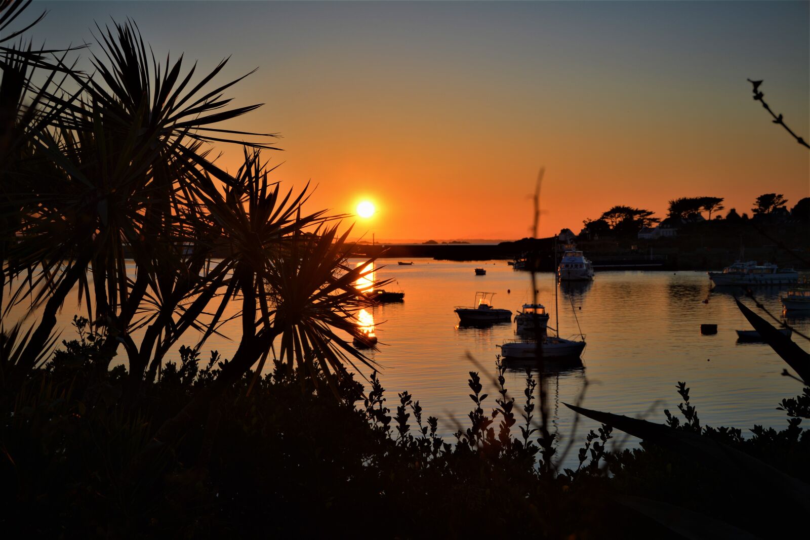 Nikon D7100 sample photo. France, isle of batz photography