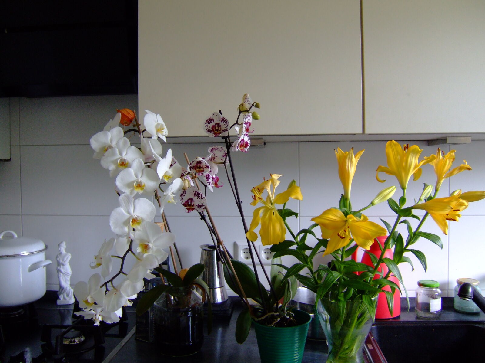 Fujifilm FinePix E900 sample photo