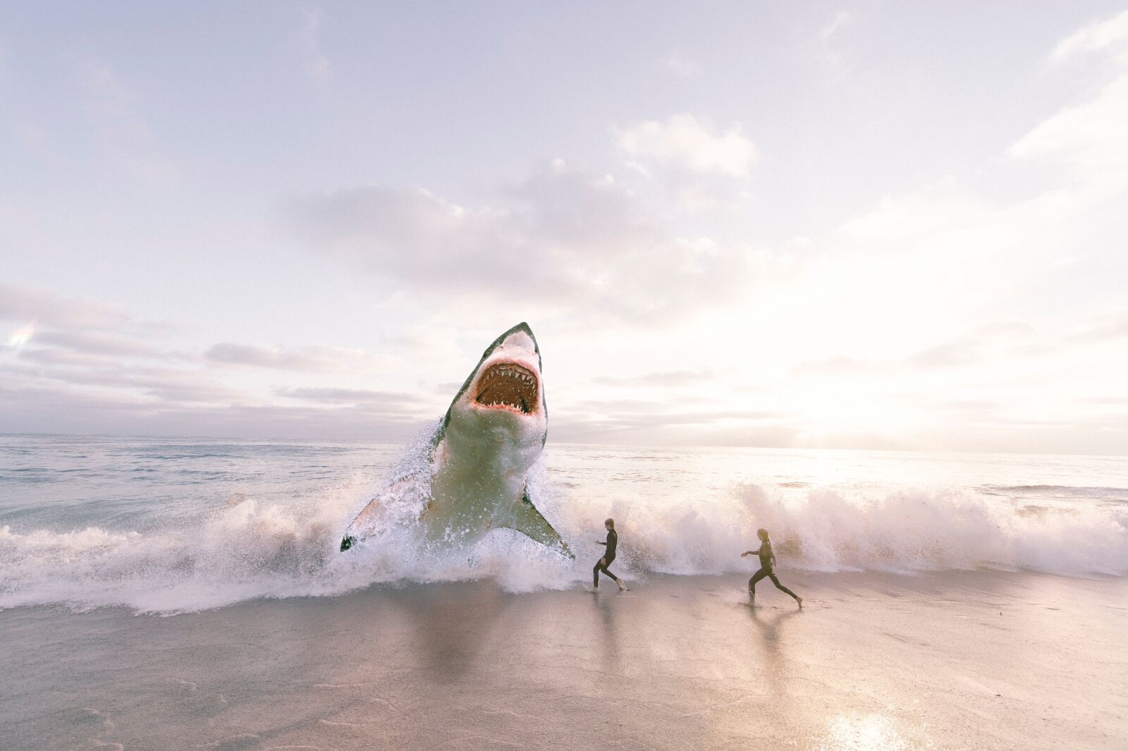 Nikon D4 sample photo. Shark, sea, ocean photography
