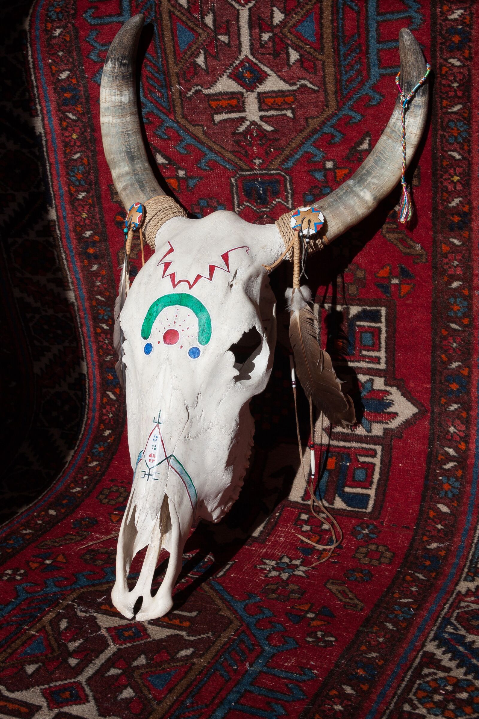 Canon EF-S 17-85mm F4-5.6 IS USM sample photo. Skull, beef, painted photography