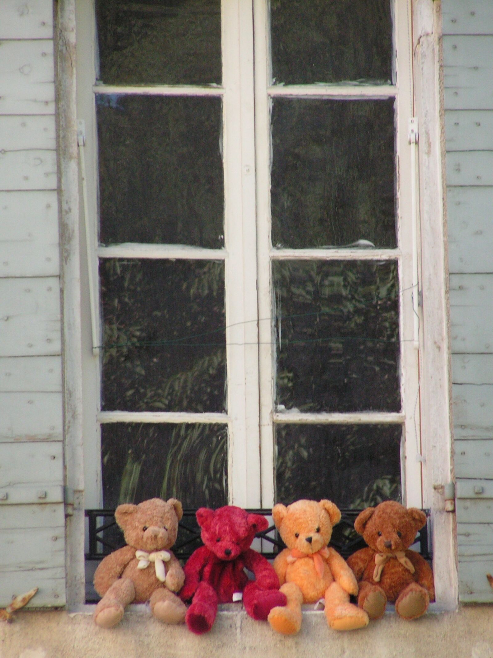 KONICA MINOLTA DiMAGE Z2 sample photo. Stuffed, animals, window photography