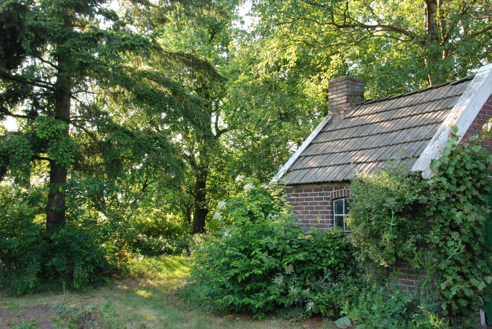 Nikon D80 sample photo. Barn, garden, green photography