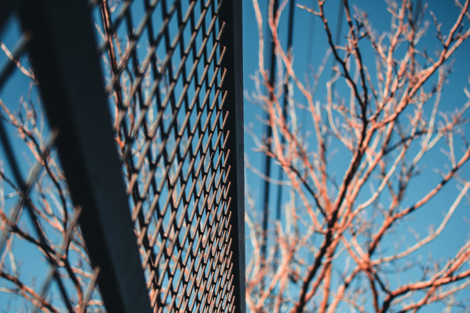 Nikon D750 sample photo. Fence, sky, winter photography