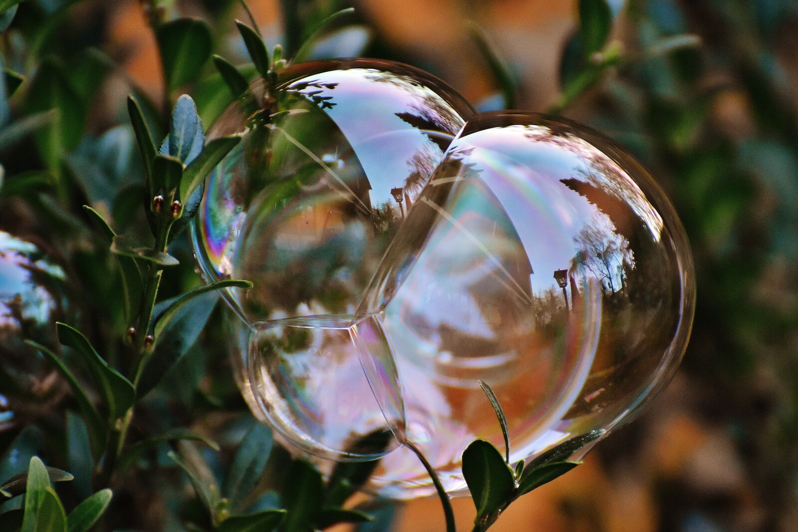 Nikon D7200 sample photo. Soap bubble, colorful, buxbaum photography