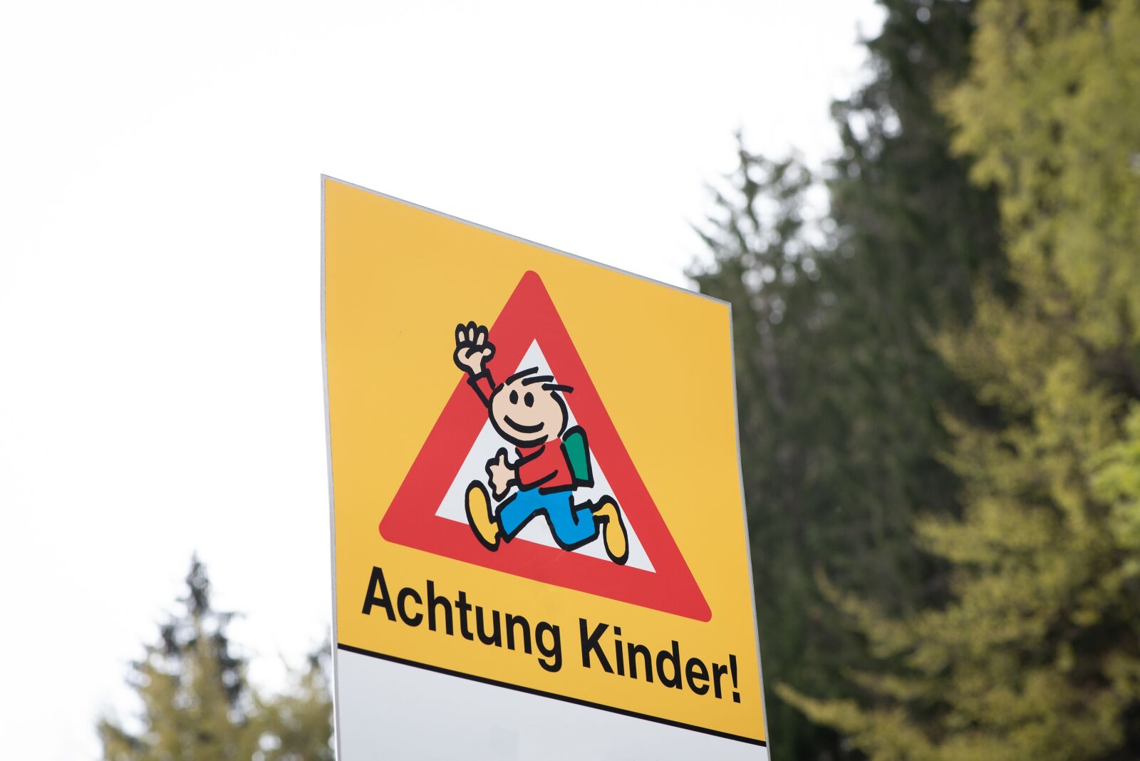 Nikon D750 sample photo. Shield, attention, children photography