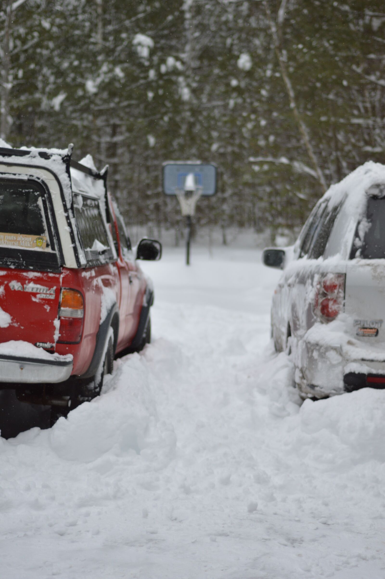 Nikon D3200 sample photo. Winter, snow, pickup photography