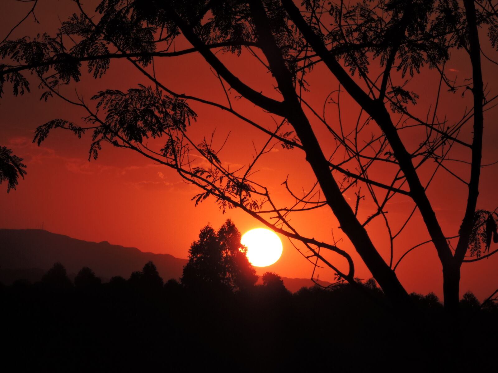 Nikon Coolpix P530 sample photo. Sunset photography