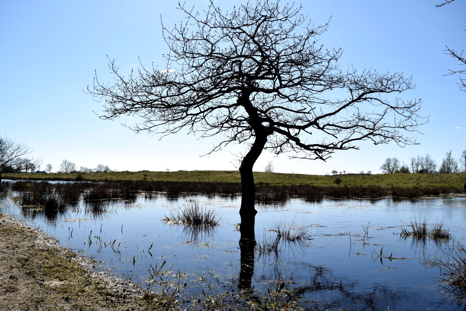 Nikon D5300 sample photo. Foundation of the country photography