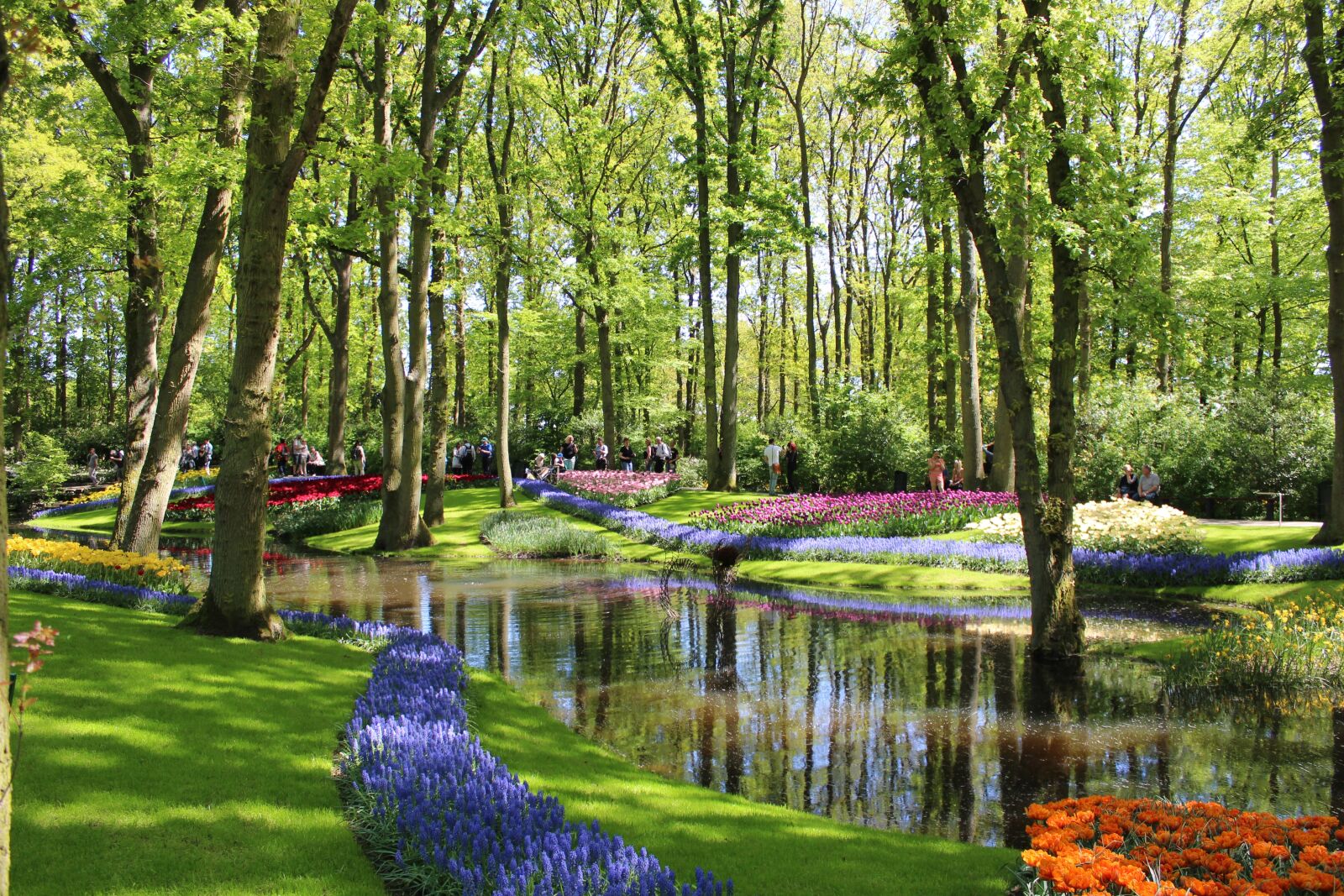 Canon EOS 1300D (EOS Rebel T6 / EOS Kiss X80) sample photo. Tulips, park, netherlands photography
