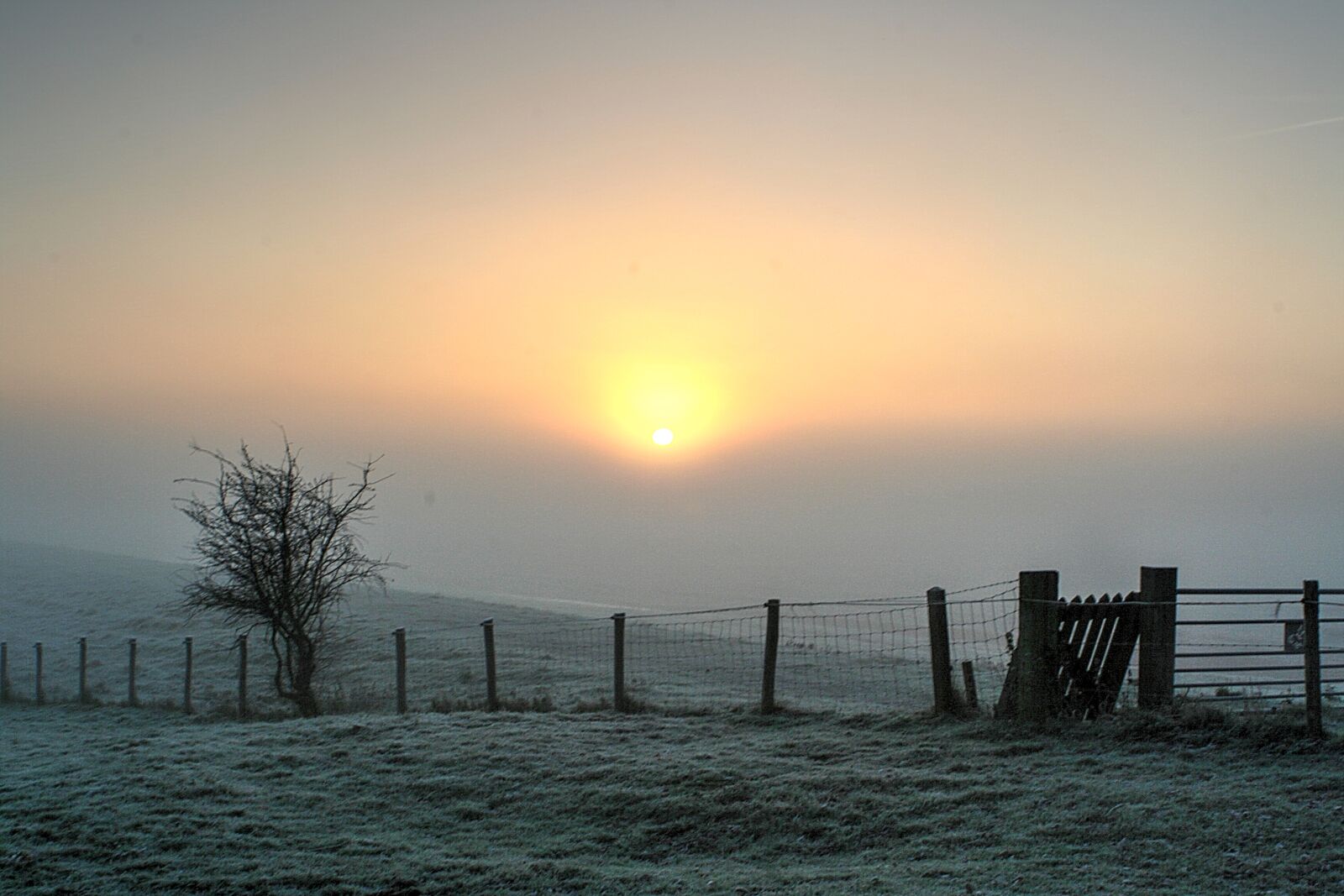 Canon EOS 350D (EOS Digital Rebel XT / EOS Kiss Digital N) sample photo. Foggy, morning, sunset photography