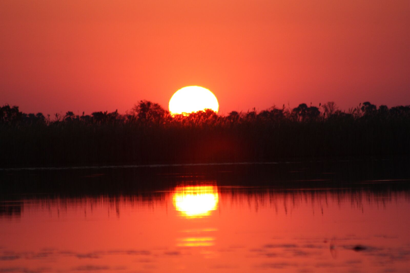 Canon EOS 450D (EOS Rebel XSi / EOS Kiss X2) sample photo. Sunset, africa, botswana photography