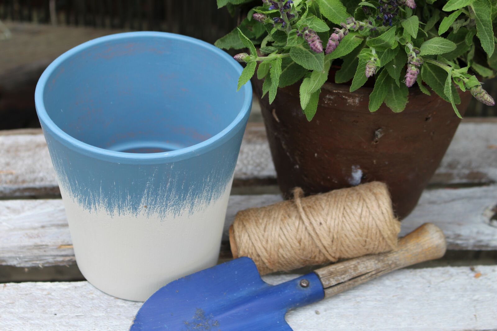 Canon EOS 700D (EOS Rebel T5i / EOS Kiss X7i) sample photo. Flower pot, garden, flowers photography