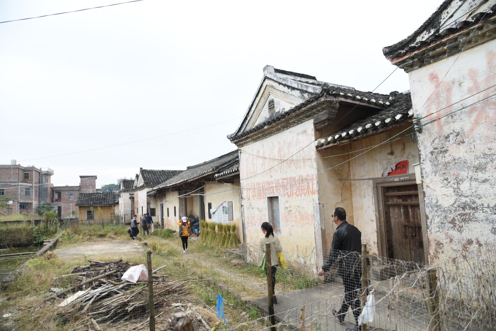 Nikon D750 sample photo. China, draw, scenery-01 photography