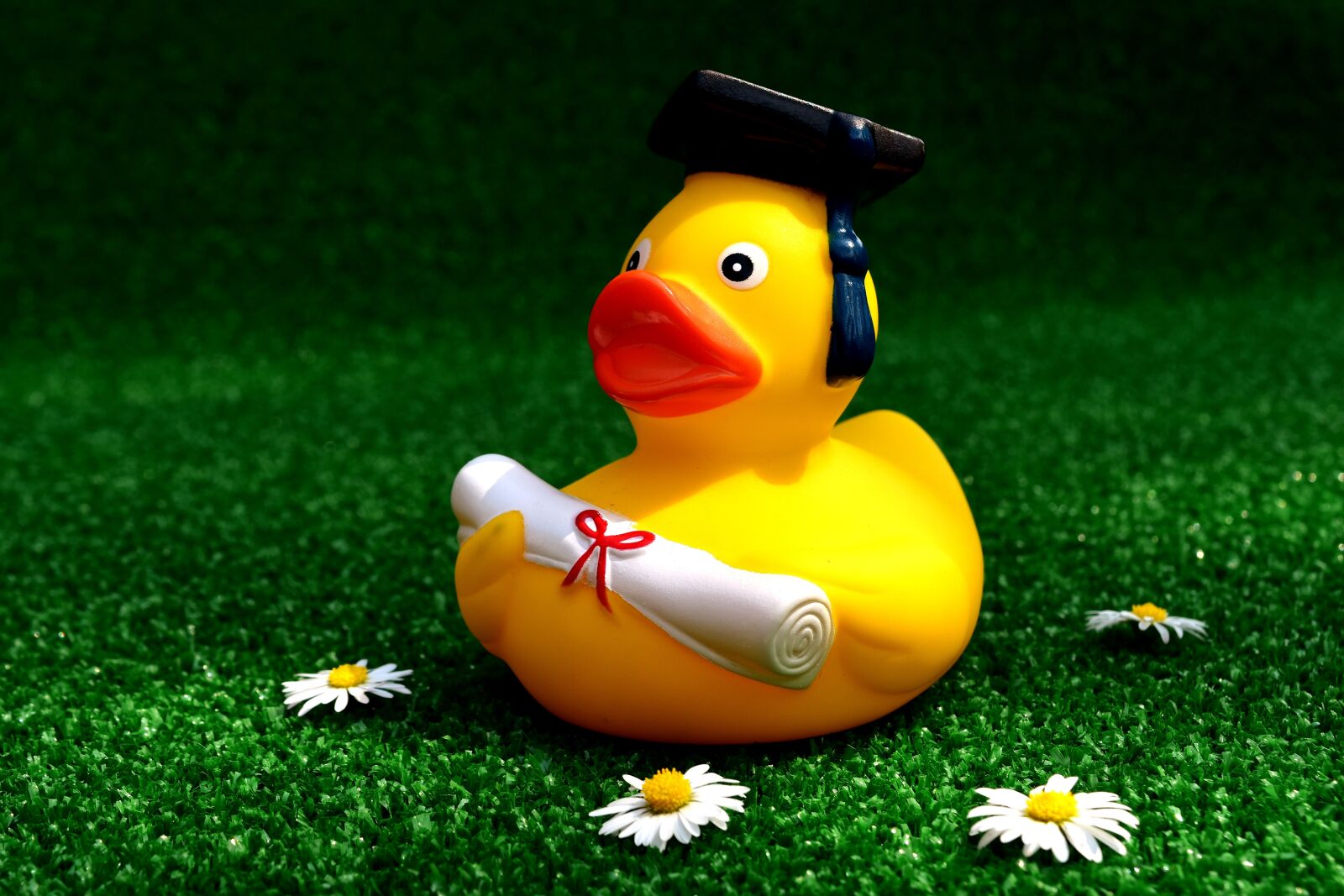Nikon D7200 sample photo. Rubber duck, school-leaving certificate photography