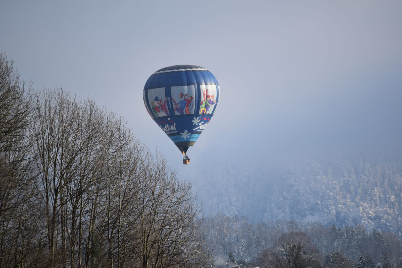 Nikon D5300 sample photo. Forest, hot air balloon photography