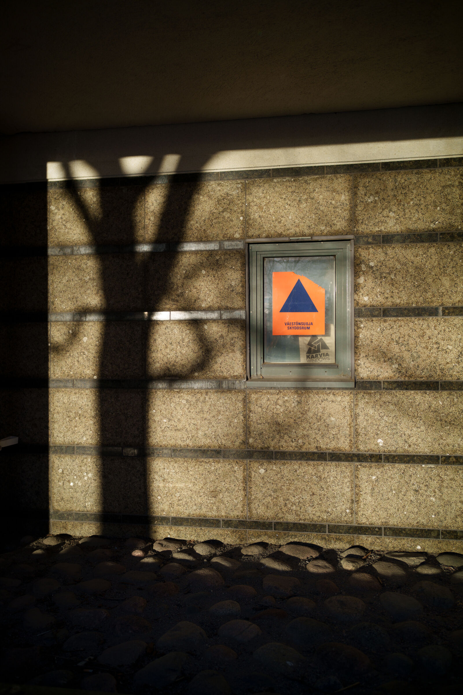 Samyang Remaster Slim 28mm F3.5 sample photo. Tree shadow photography