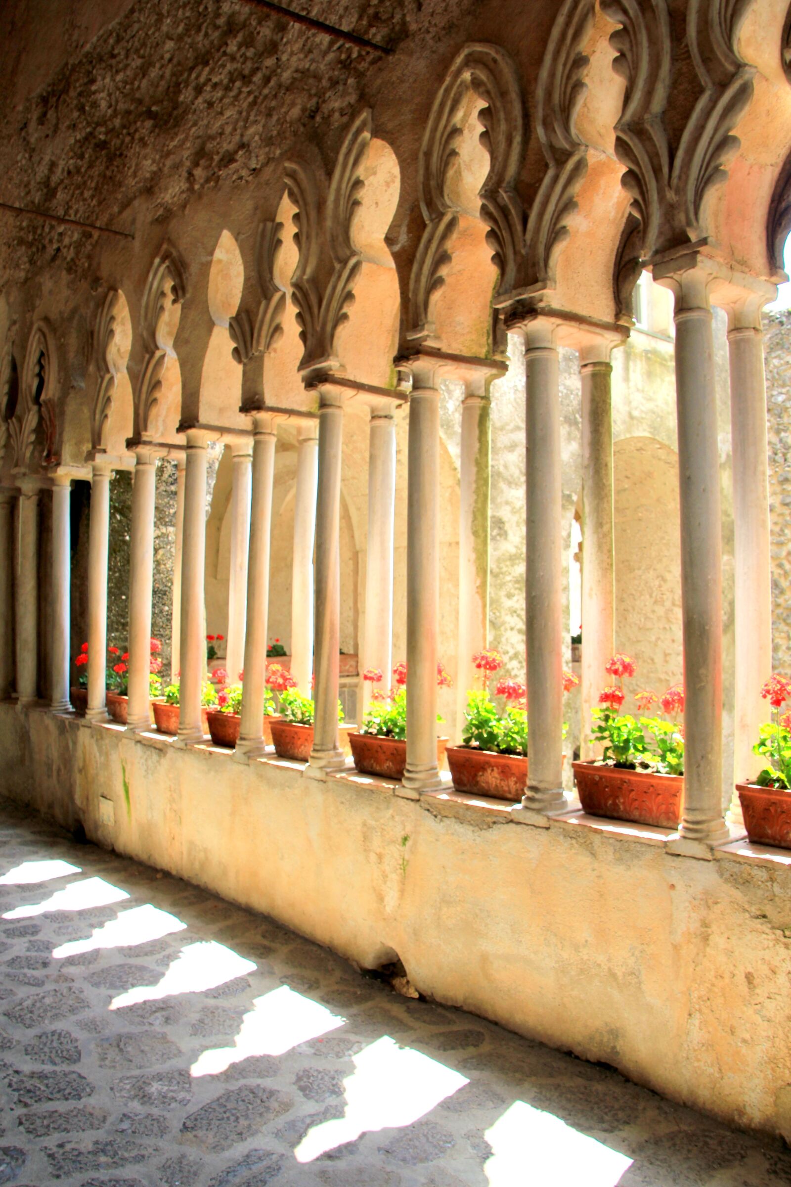 Canon EOS 550D (EOS Rebel T2i / EOS Kiss X4) sample photo. Sorrento, garden, italy photography