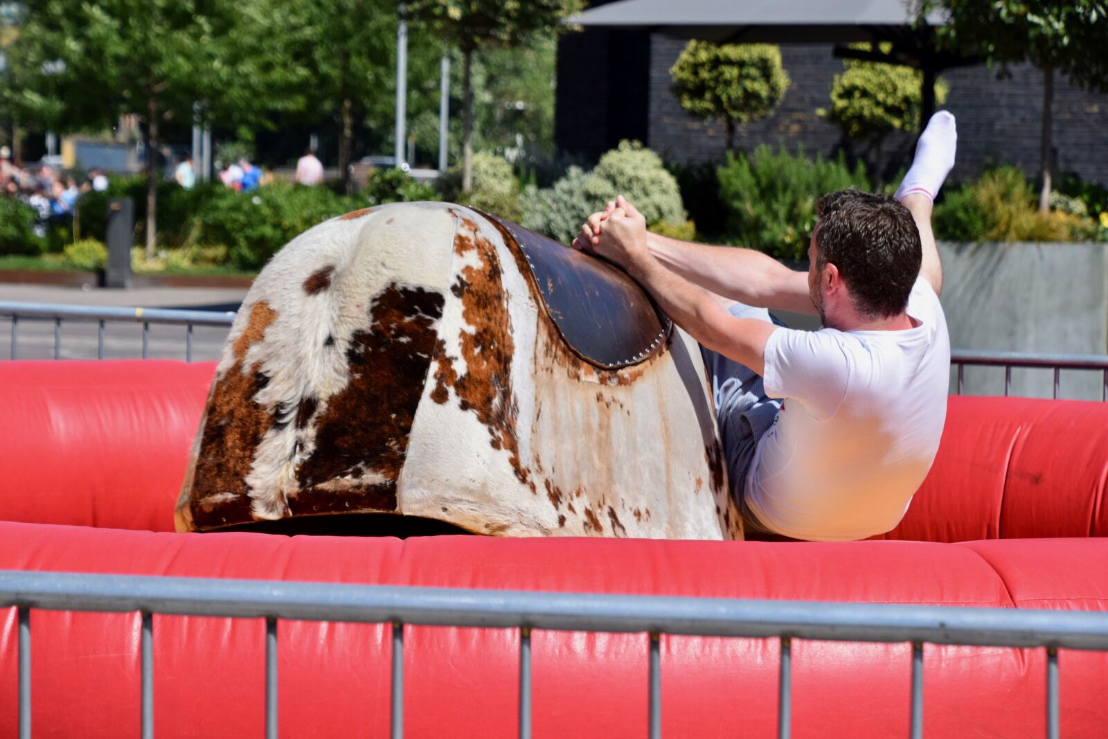 Nikon D3300 sample photo. Balance, bull, falling photography