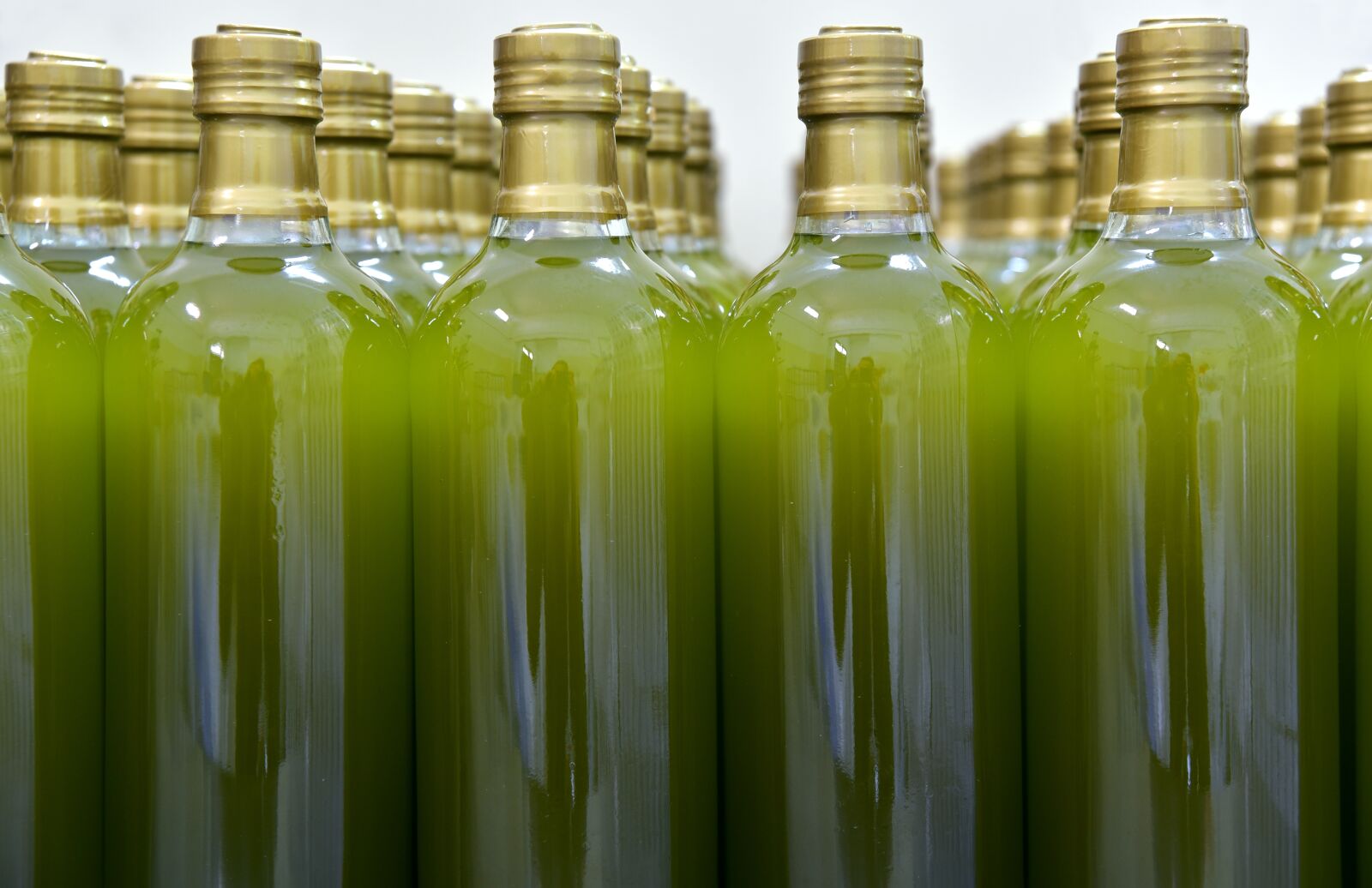Nikon D750 sample photo. Bottles, olive oil, oil photography