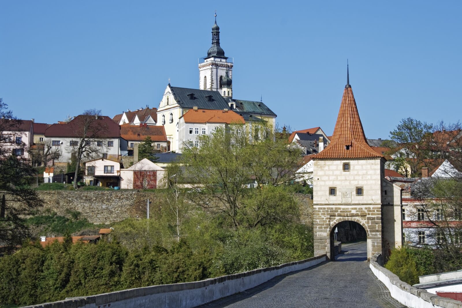 Nikon D500 sample photo. Czech republic, st bro photography