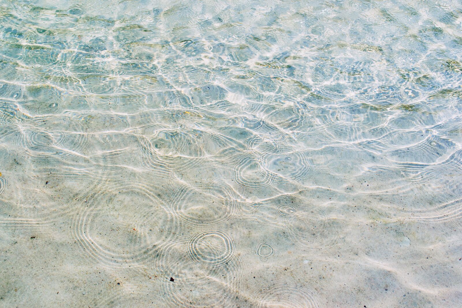 Nikon D3100 sample photo. Nature, clear, fountain photography