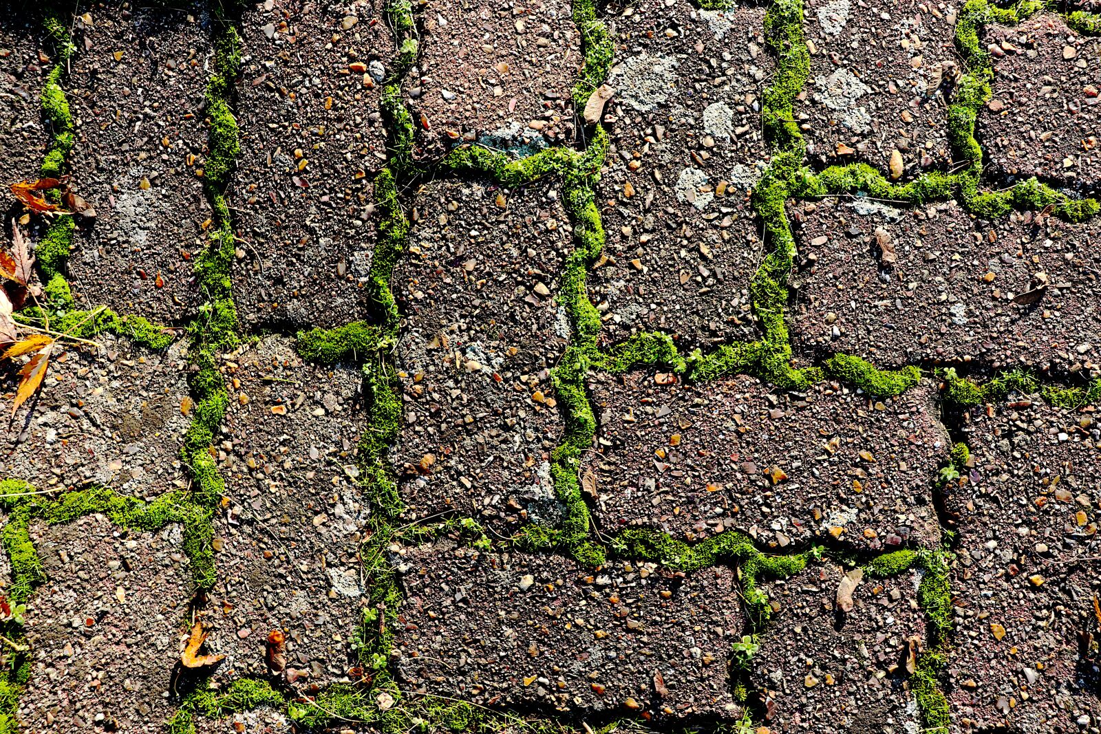 Canon EOS 800D (EOS Rebel T7i / EOS Kiss X9i) sample photo. Paving, concrete, foam photography