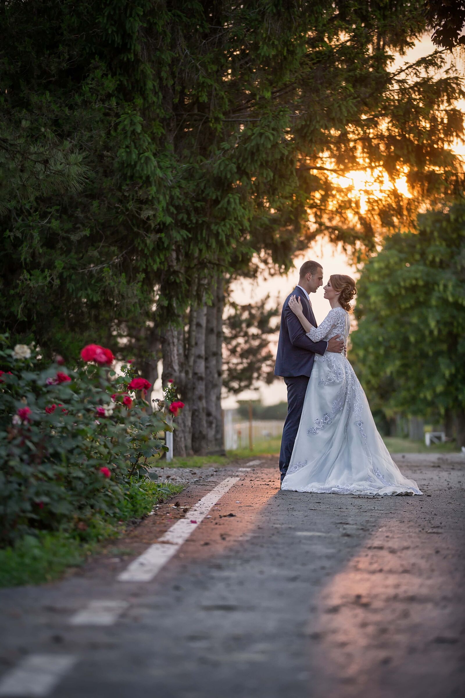 Canon EOS 5D Mark III + Canon EF 70-200mm F2.8L IS II USM sample photo. Kiss, newlyweds, garden, sunset photography