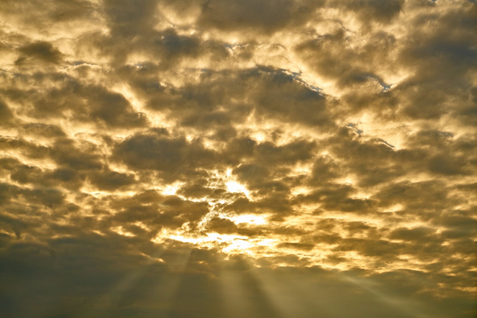 Sony a7R II sample photo. Cloud, yellow, sunset photography