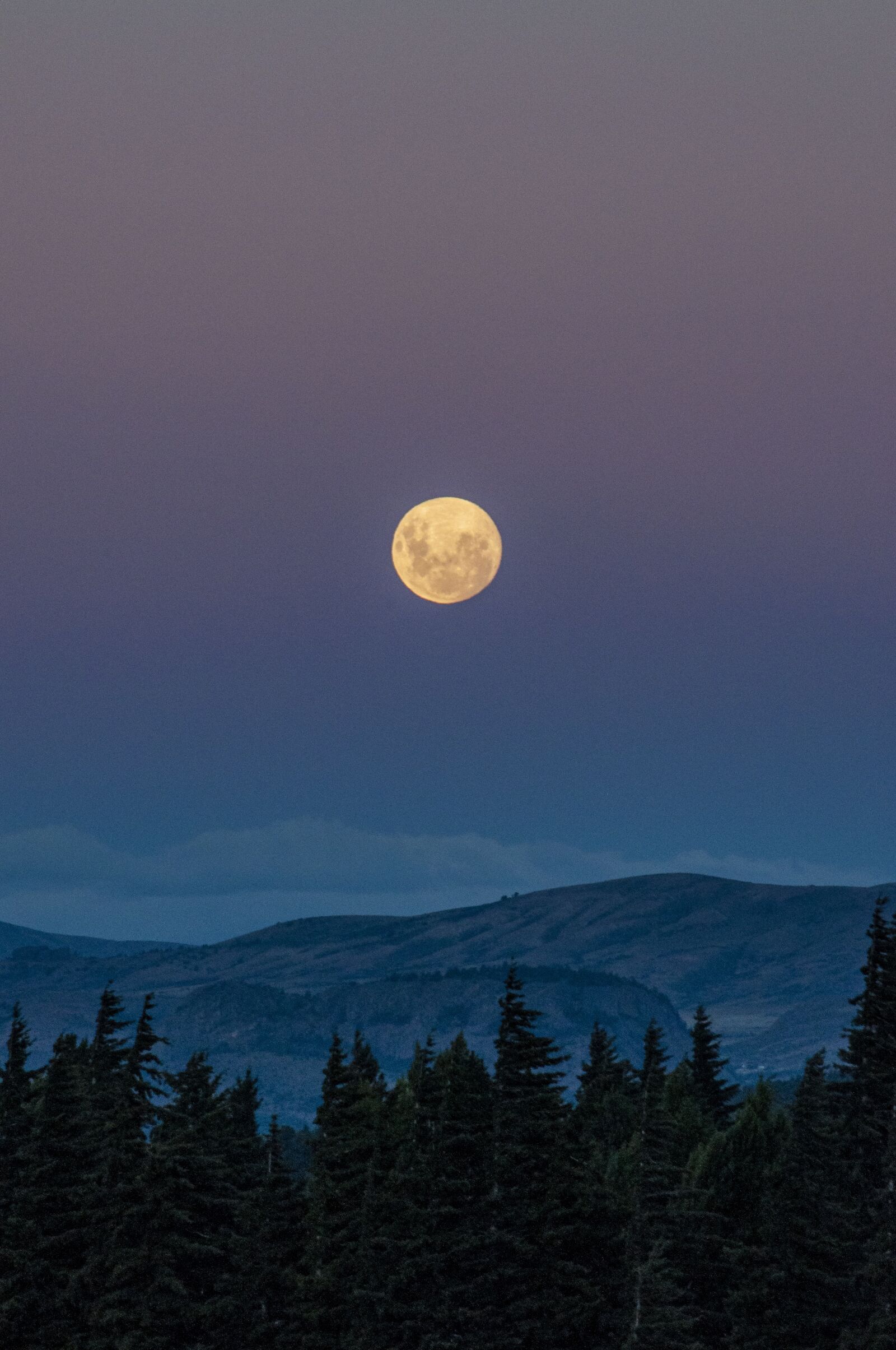 Nikon D5000 sample photo. Moon, landscape, night photography