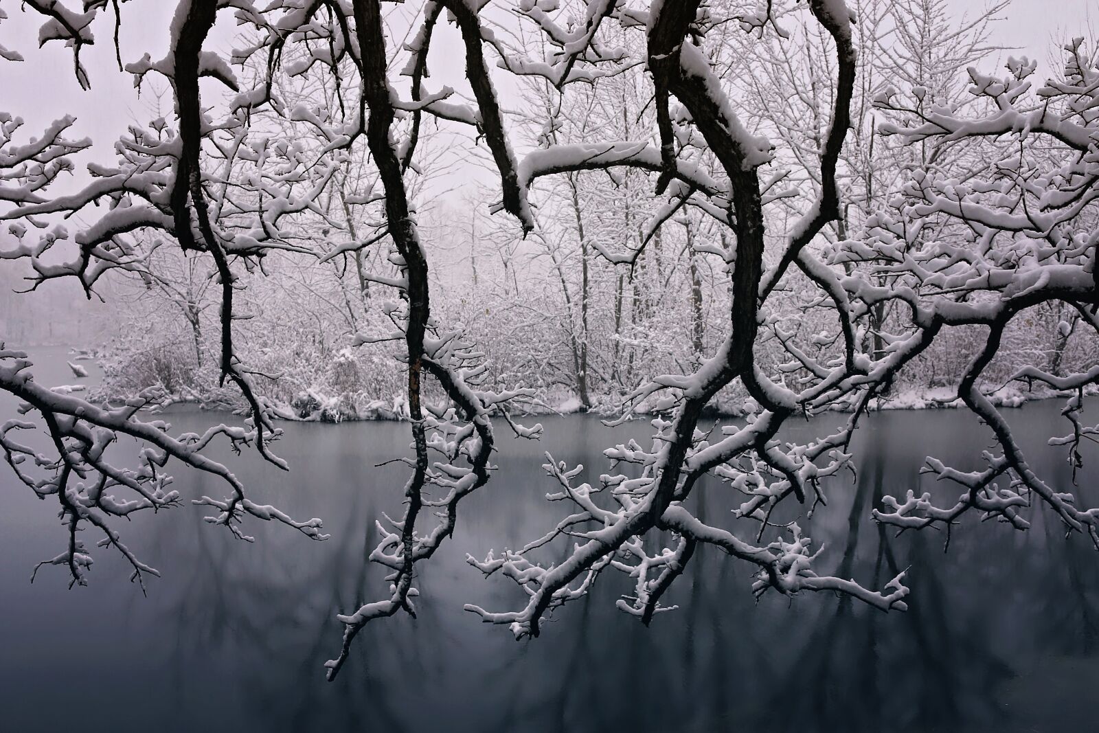 Canon EOS 70D sample photo. Winter, beauty, snow photography