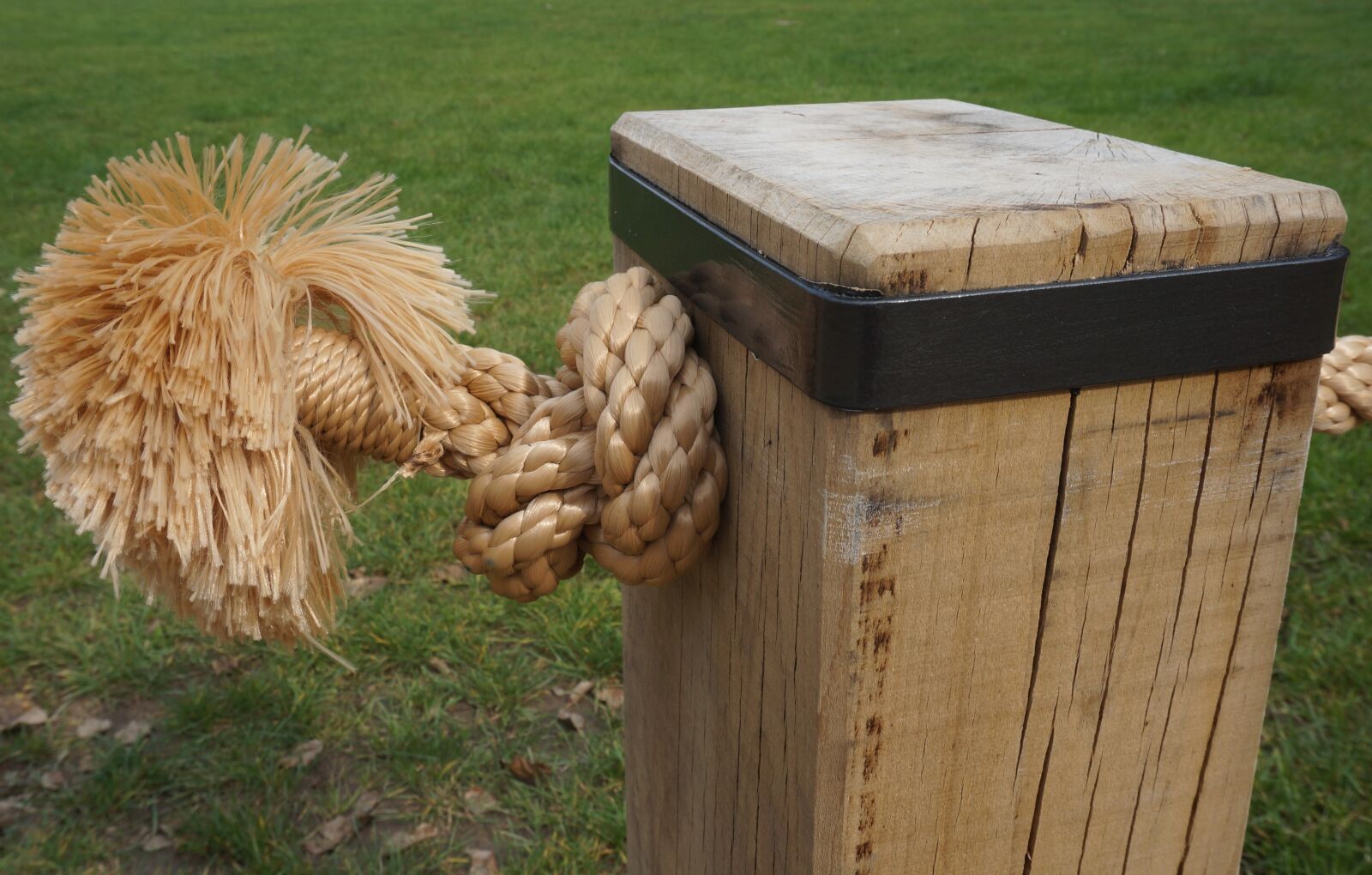 Sony Alpha NEX-3N sample photo. Rope, fence, cord photography