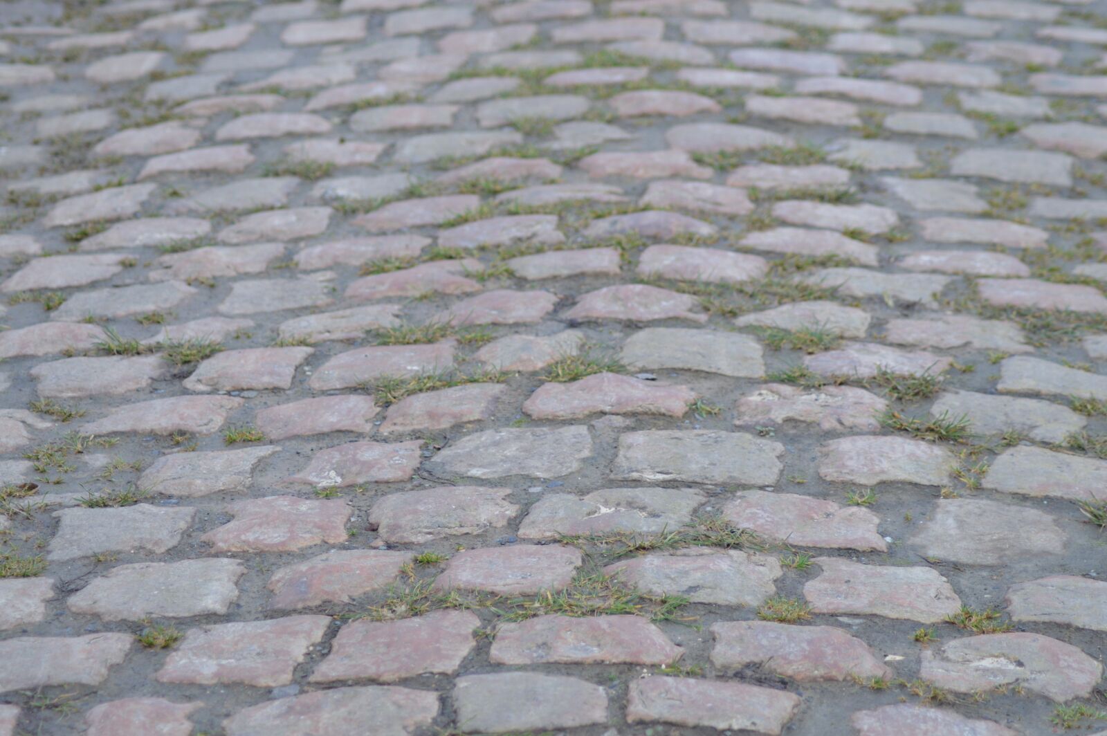 Nikon D3200 sample photo. Pavers, paved area, paris-roubaix photography