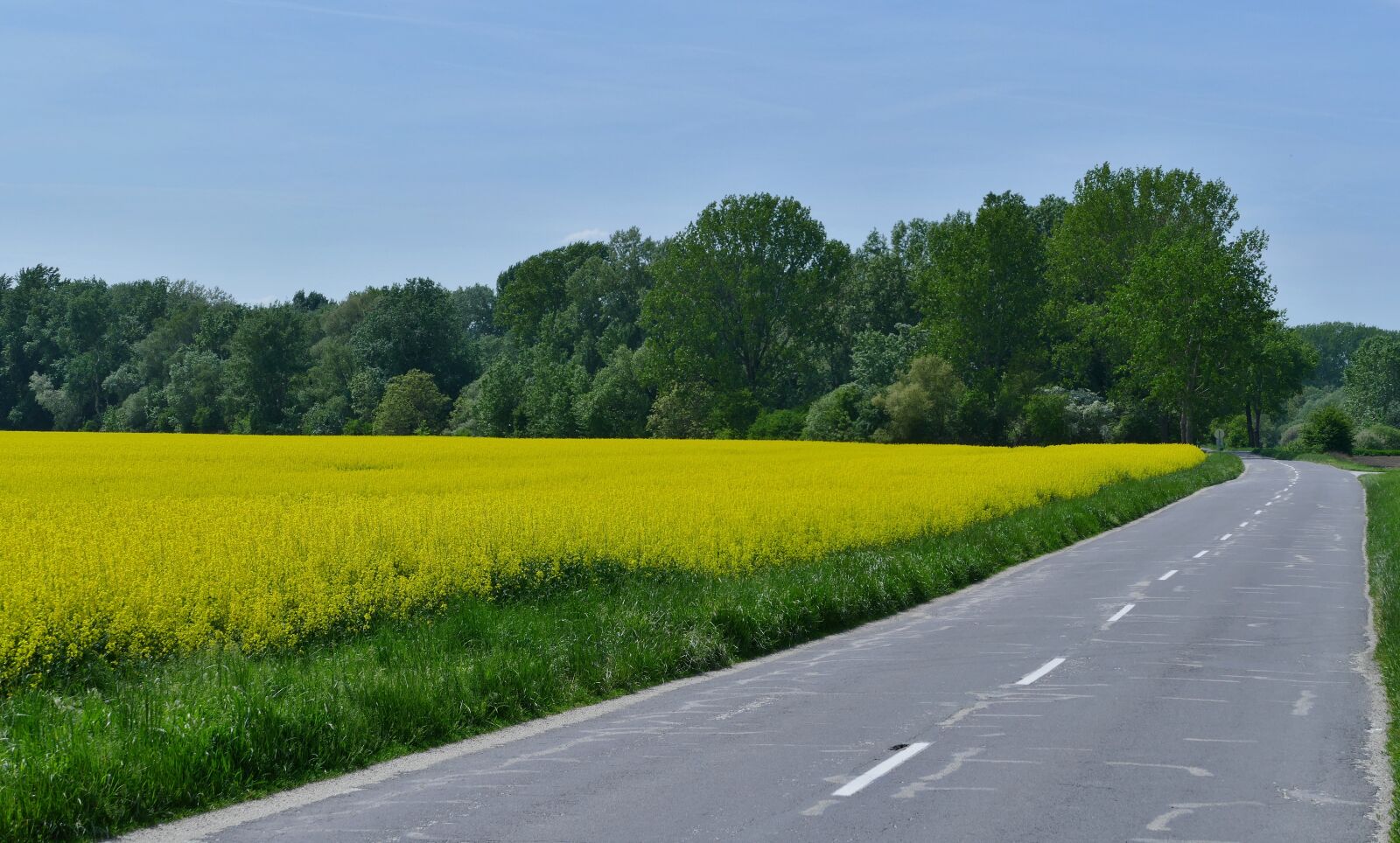 Panasonic Lumix DMC-FZ1000 sample photo. Country, nature, field photography