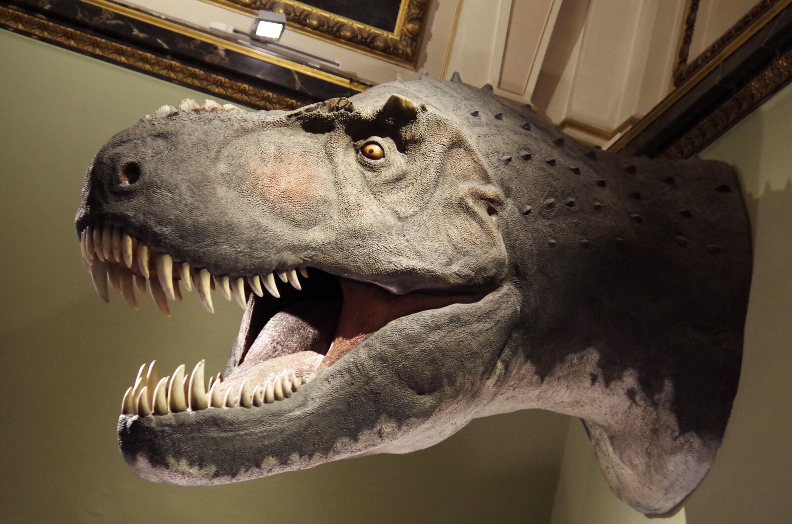 Pentax K-500 sample photo. Dinosaur, rex, t-rex photography