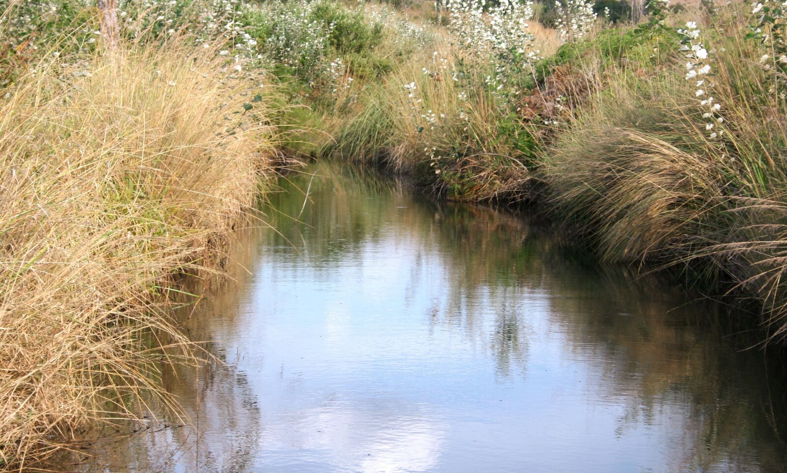 Canon EOS 350D (EOS Digital Rebel XT / EOS Kiss Digital N) sample photo. River, country, reflection photography