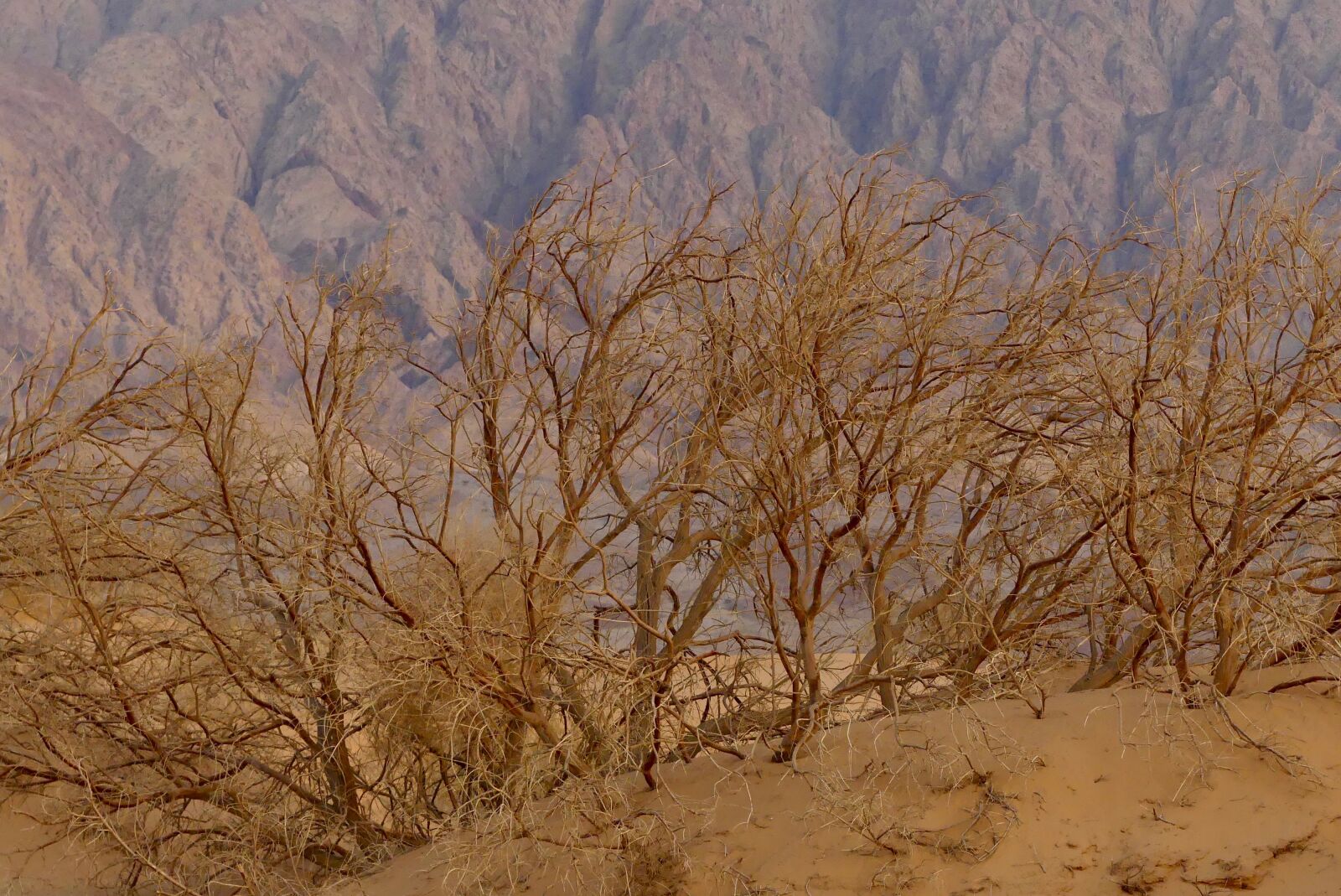 Panasonic Lumix DMC-FZ300 sample photo. Desert, jordan, sands photography