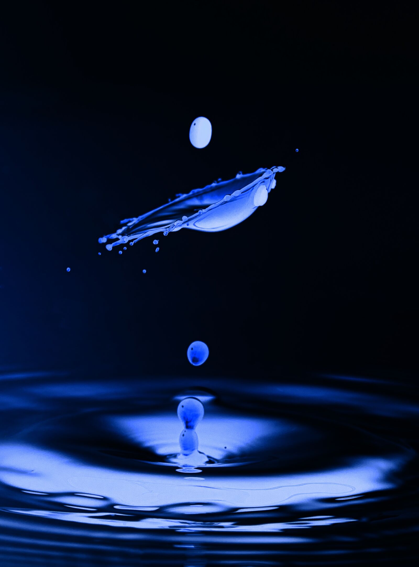 Nikon D7100 sample photo. Drip, water, macro photography