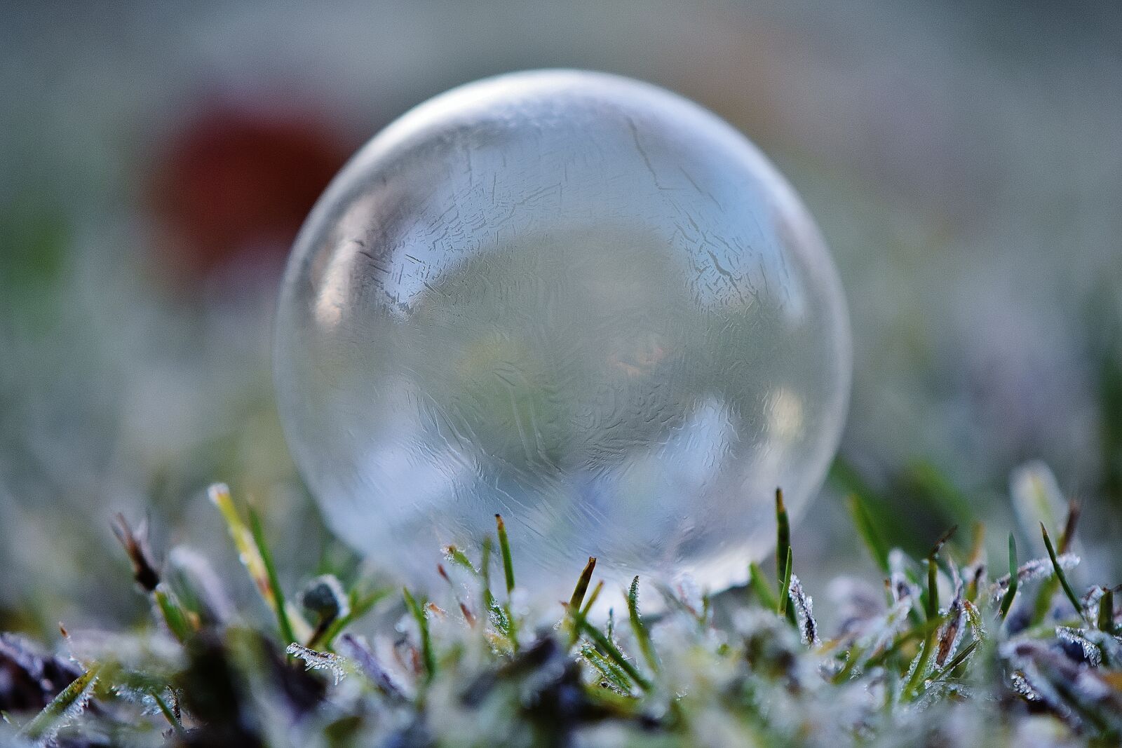 Nikon D7200 sample photo. Soap bubble, frozen, winter photography
