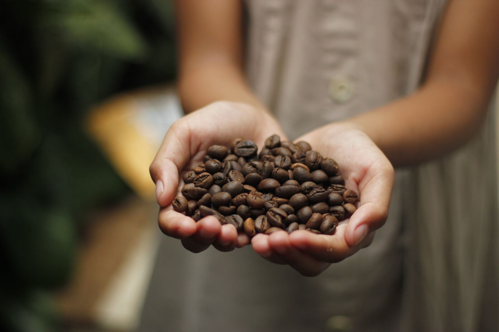 Canon EOS 550D (EOS Rebel T2i / EOS Kiss X4) sample photo. Coffee, coffee beans, aroma photography